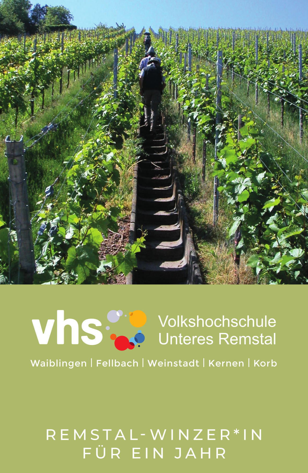 vhs_Weinbau_Lehrgaenge_Flyer_2026