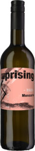2023_Flasche_uprising